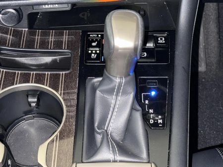 2020-Lexus-RX-350-EX_10