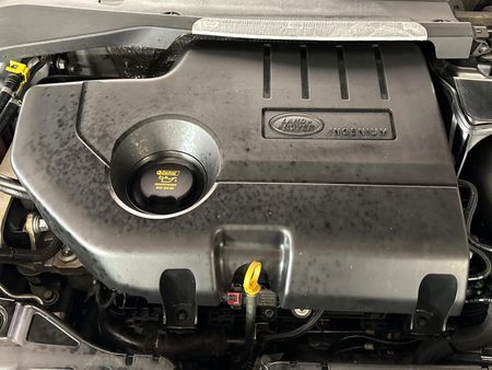 2019-Land-Rover-Range-Rover-Evoque-20-D-First-Edition-132kW-D180_14