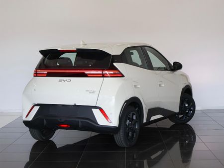 2026-BYD-Dolphin-Surf-Dynamic_7