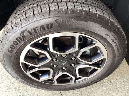 2025-Ford-Ranger-30D-V6-Wildtrak-AWD-Double-Cab-Auto_9