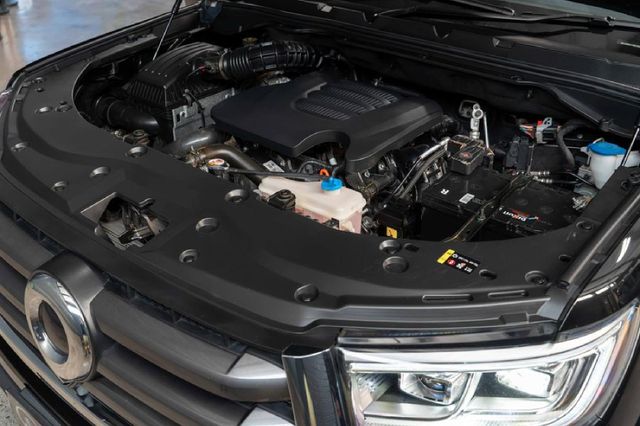 2024 GWM P-Series PV 2.0 TD LT 4x4 Auto Double-Cab, photo 5