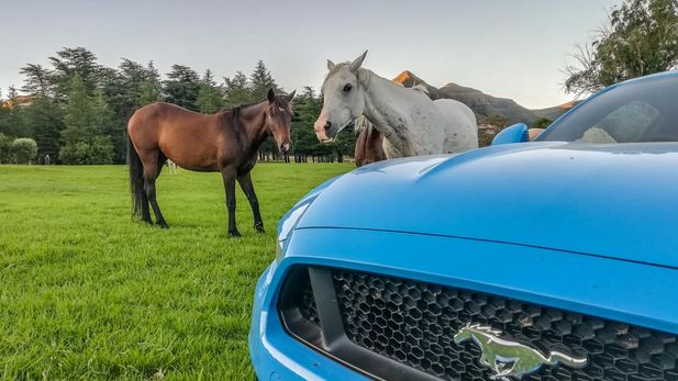 Ciro’s Mustang Road Trip to Lesotho