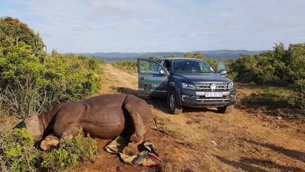 Volkswagen Amarok to the Rhino Rescue