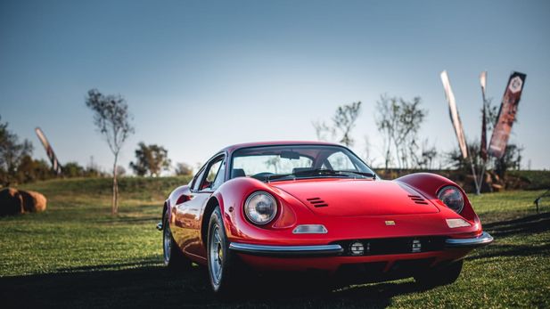 Concours South Africa: Dino on Top