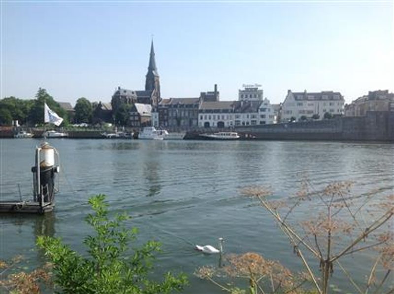 Maastricht river swan (Custom)