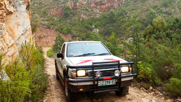 Isuzu KB bakkie rewards owners