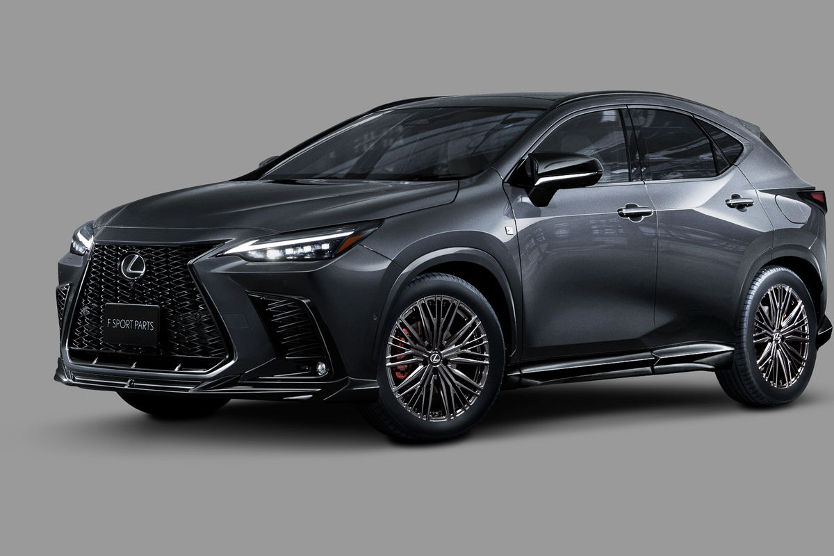 Lexus NX Looks Wicked with TRD Parts