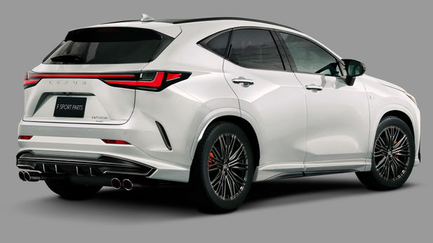 Lexus NX Looks Wicked with TRD Parts