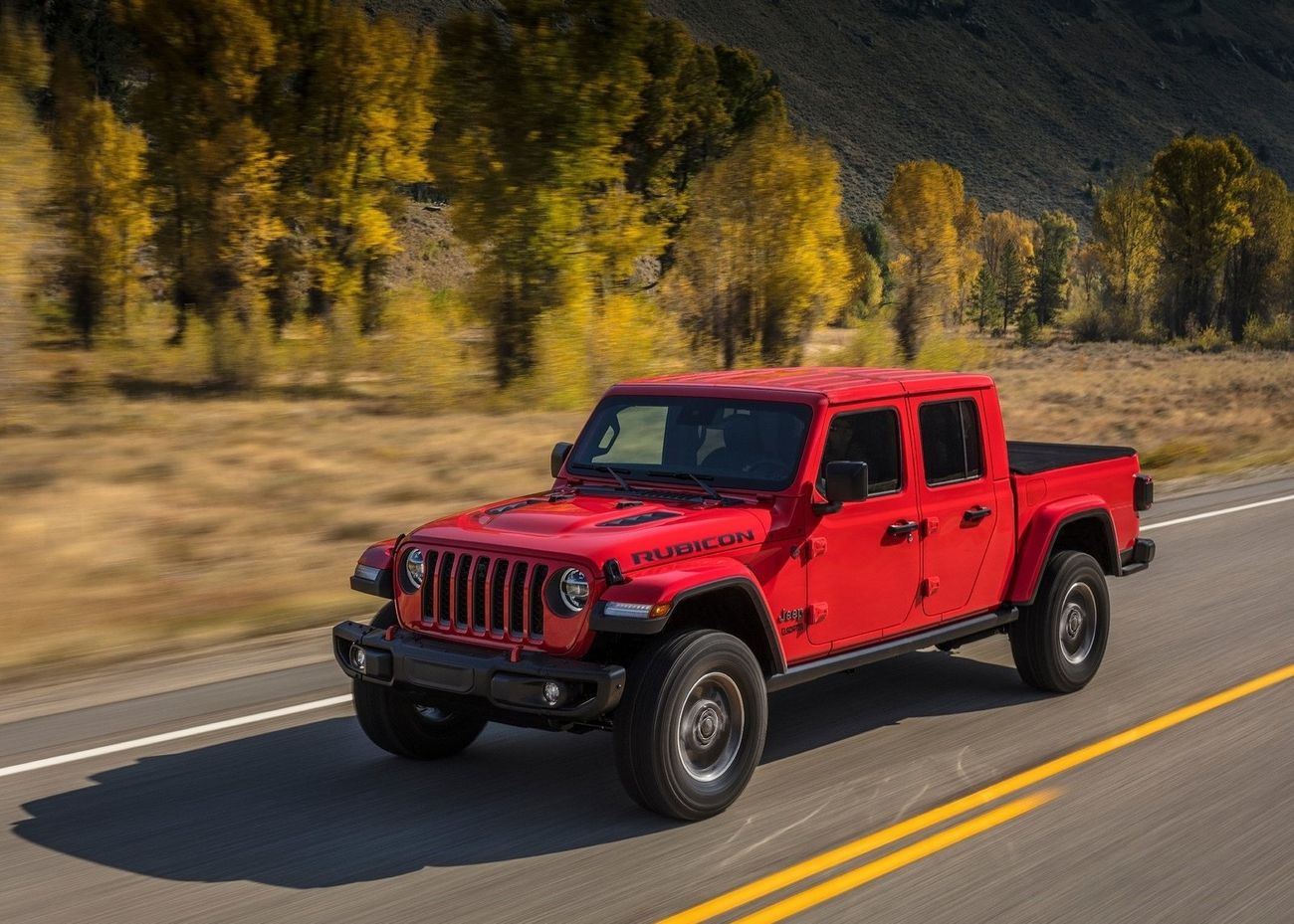 2019 rubicon gladiator