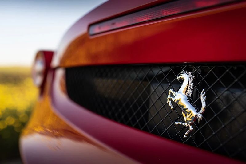 Ferrari F430 rear grille