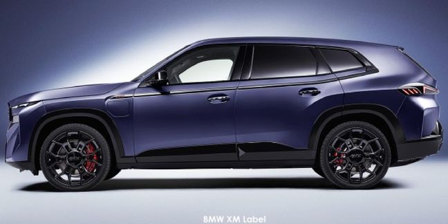 BMW-XM-Label image:1