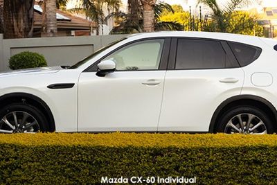 undefined image:2
